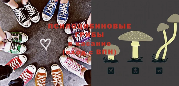 apvp Магас