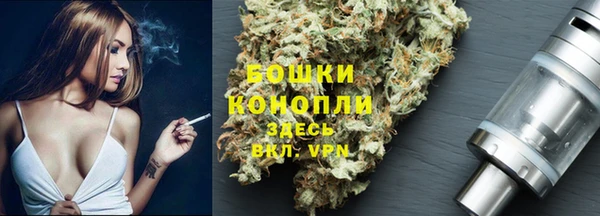 apvp Медногорск